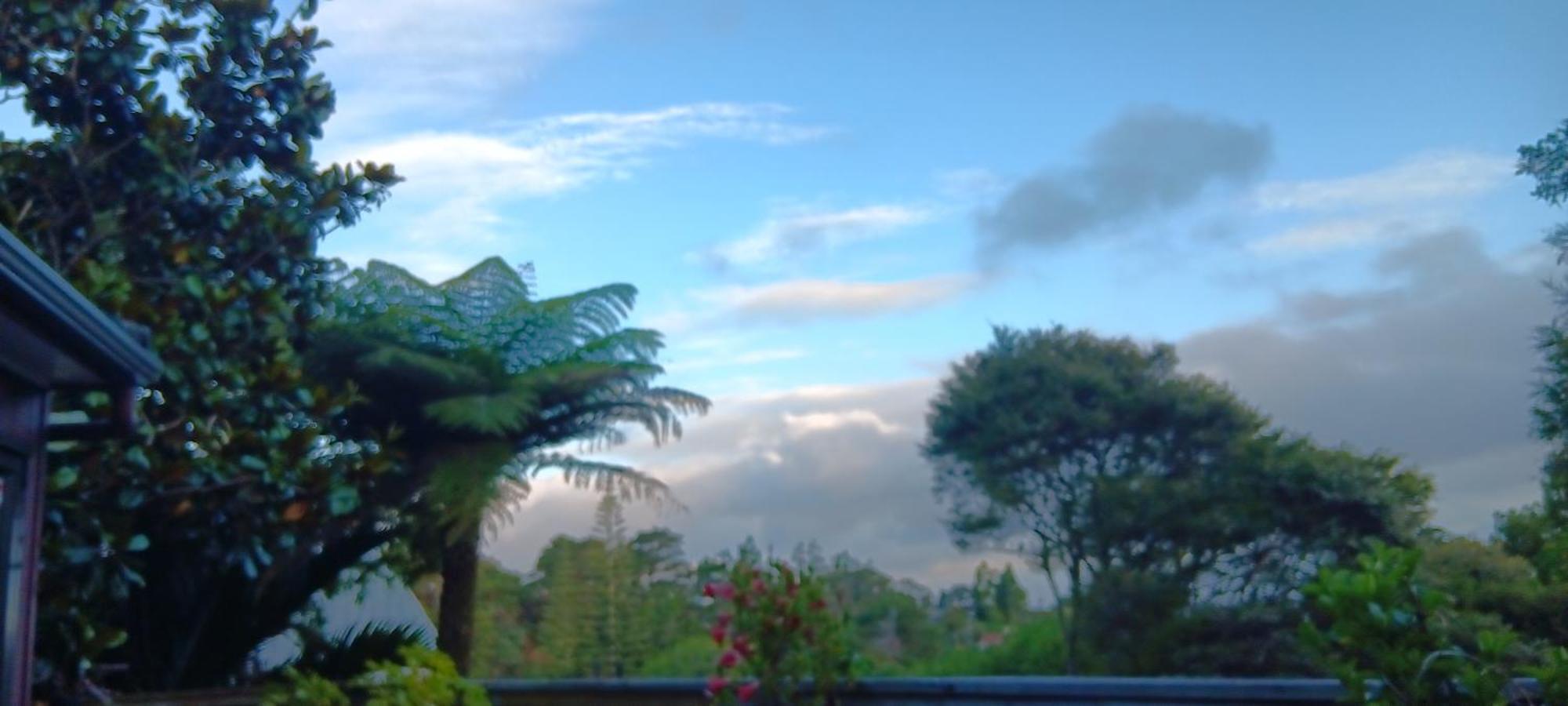 Tastebuds Bed N Breakfast Auckland Zewnętrze zdjęcie