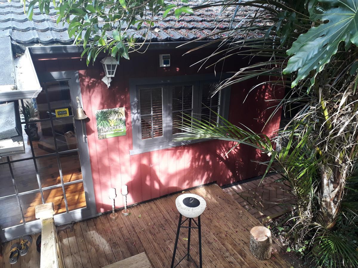 Tastebuds Bed N Breakfast Auckland Zewnętrze zdjęcie
